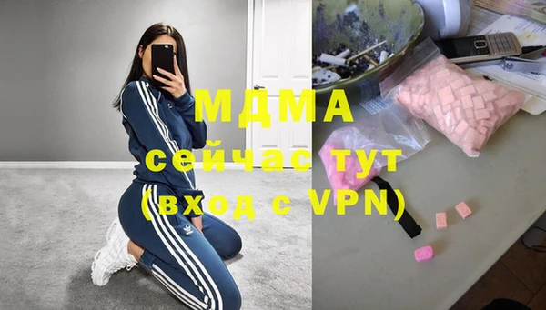 гашик Пересвет