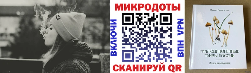 наркошоп  Покров  Псилоцибиновые грибы Psilocybe 